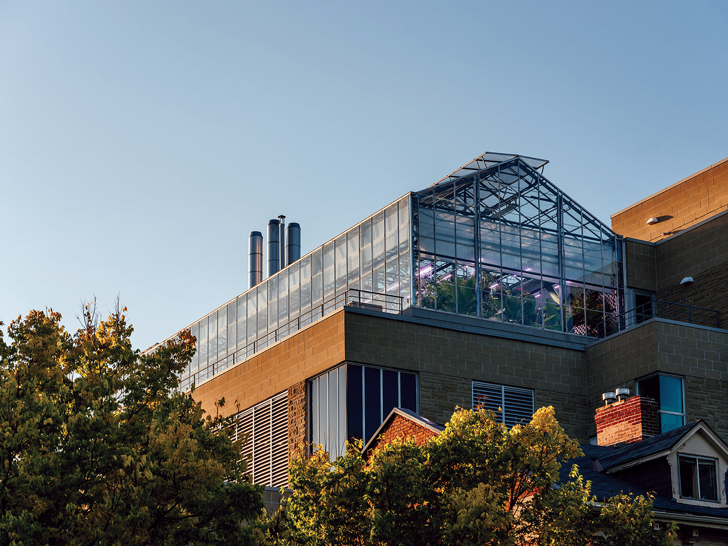 Biology DSC Headshot Fundraiser